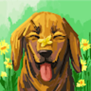 Meet your Posher, Sasha